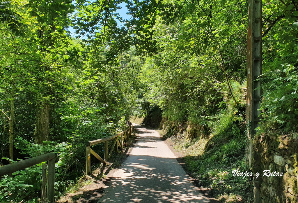 Foces de El Pino, Asturias