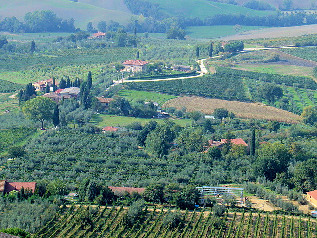 The sublime Tuscan countryside as seen from Montepulciano with fields of olive groves and vineyards.