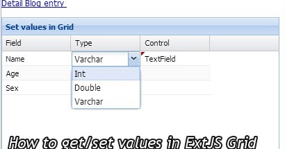 A Techie's Diary: ExtJS: Grid: How to get/set values of a specific cell ...