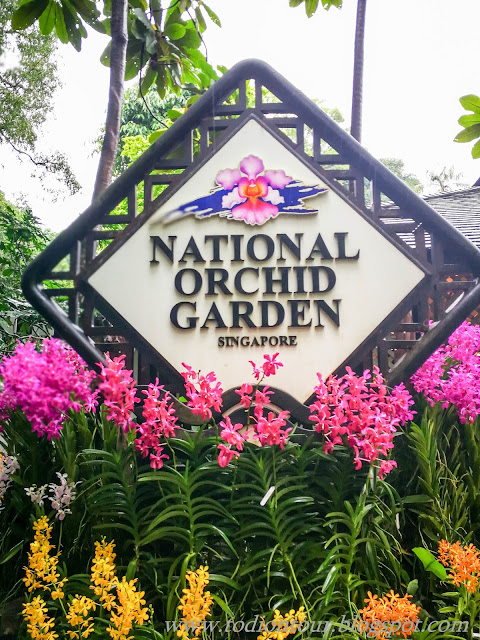 Botanical Gardens and National Orchid Garden in Singapore
