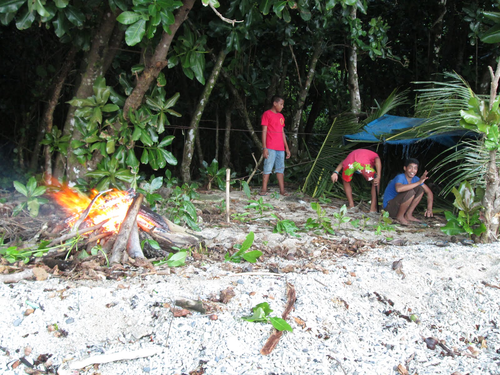 Words from the South Pacific: Survivor Samoa