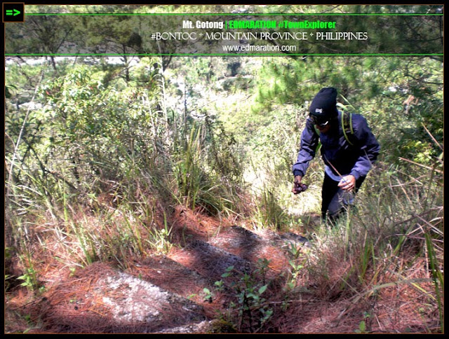 Mt. Gotong | Bontoc, Mountain Province