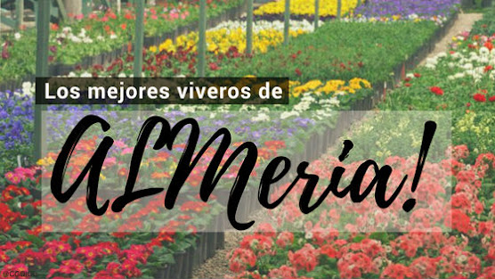 Comprar plantas online en Almería