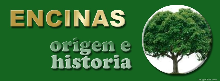 Encinas: origen e historia.