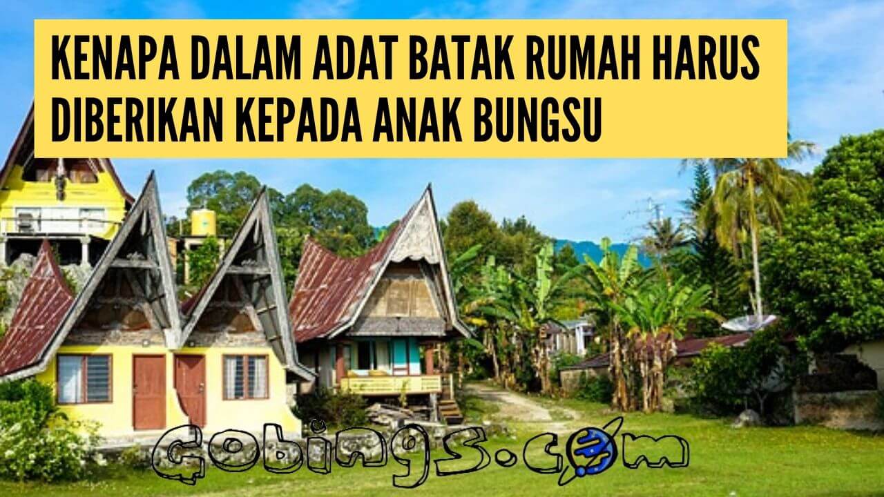 Fakta anak bungsu laki laki