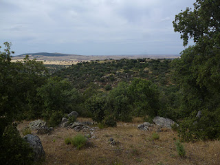 Vista general de la ubicación del castro