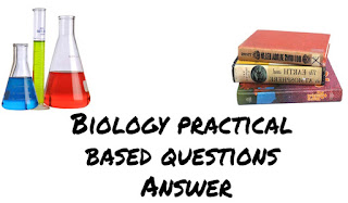 What is alum | Biology