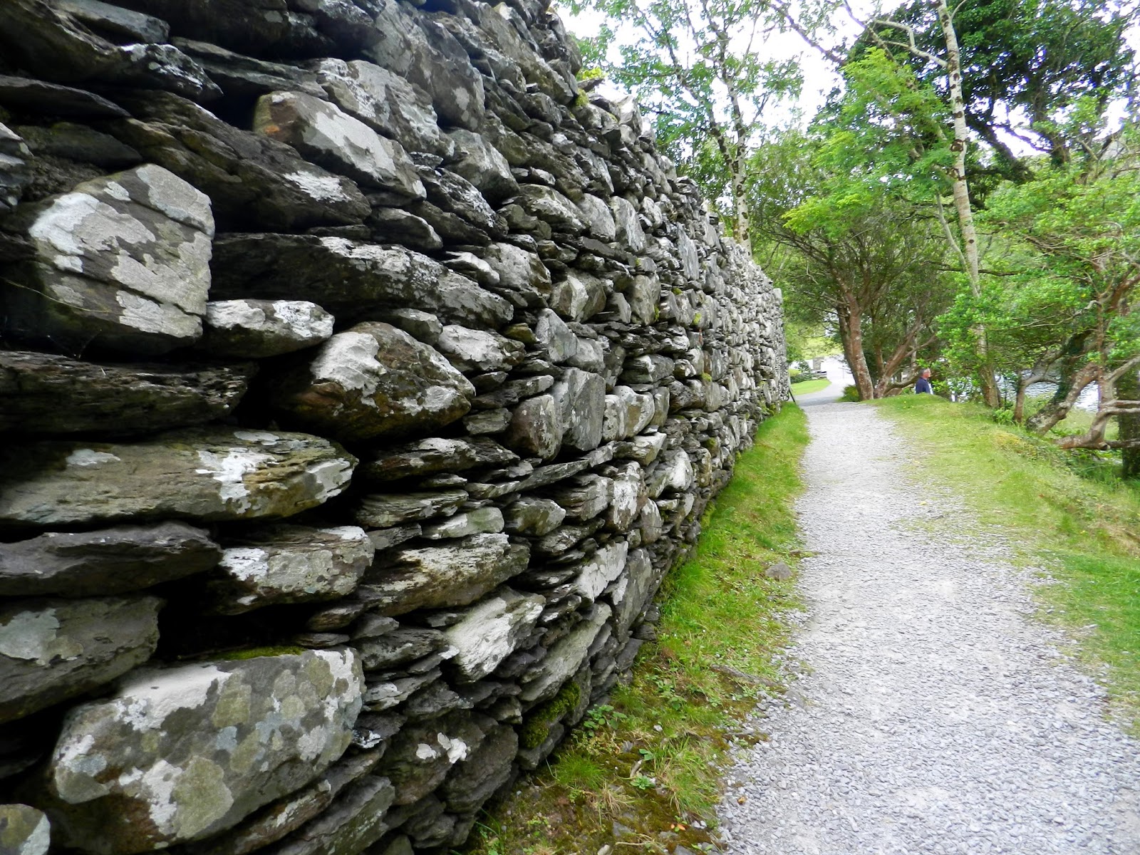The Paddock Irish Fence