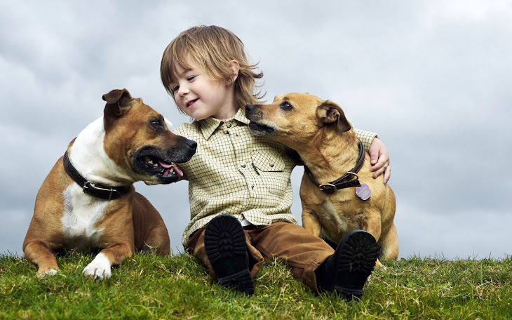 Happy Children with Pets