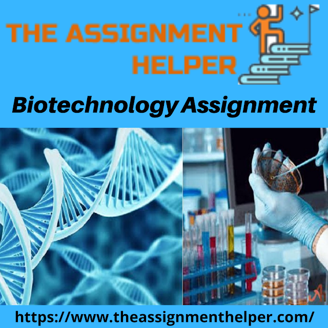 Why we are Your Best Option When It Comes to Biotechnology Assignments