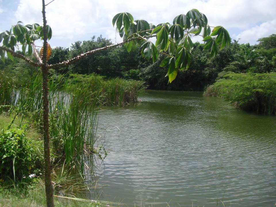 MI LENTE : Humedal de Laguna Prieta