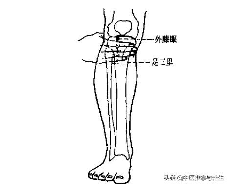 教你一個耳鳴按摩方法，還你應有的清靜！(4穴位)