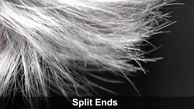 Split Ends