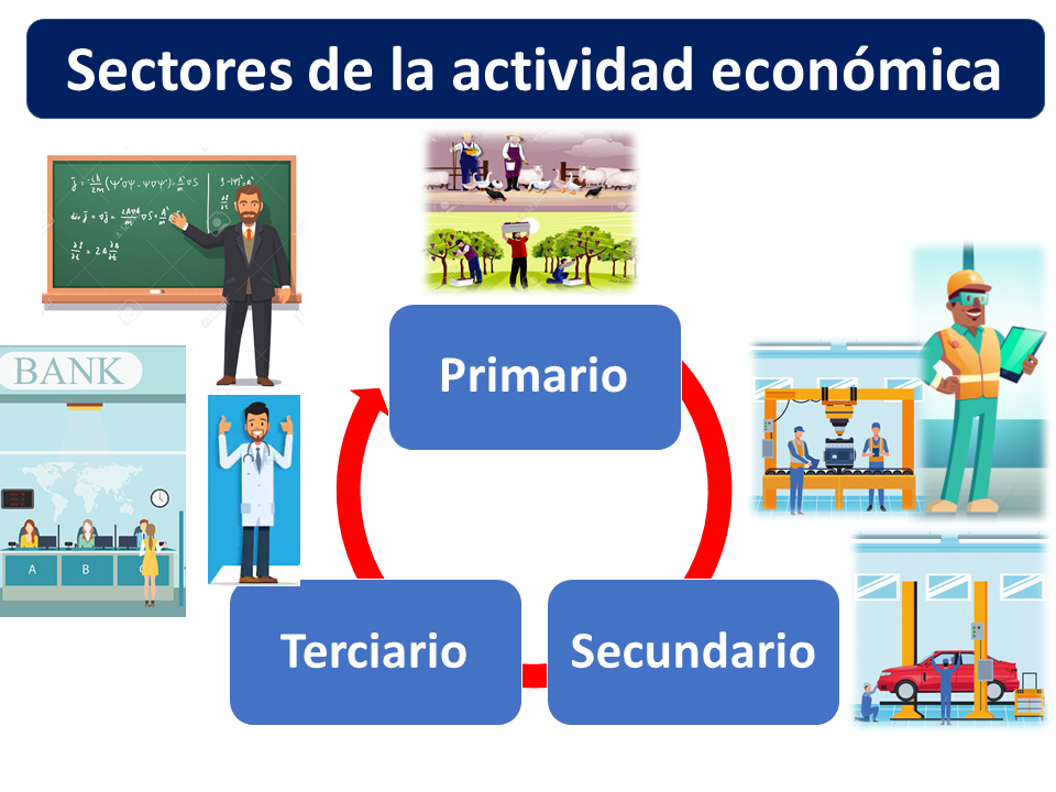 El blog de 6ºC La actividad económica II sectores económicos, tipos de empresa y su organización El blog de 6ºC La actividad económica II sectores económicos, tipos de empresa y su organización