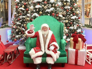 Santa Claus Sitting Under the Christmas Tree