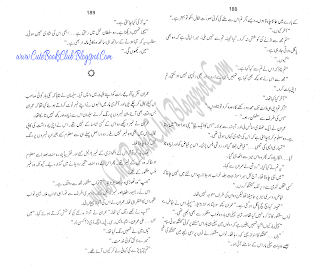 024-Pagal Kuttay, Imran Series By Ibne Safi (Urdu Novel)