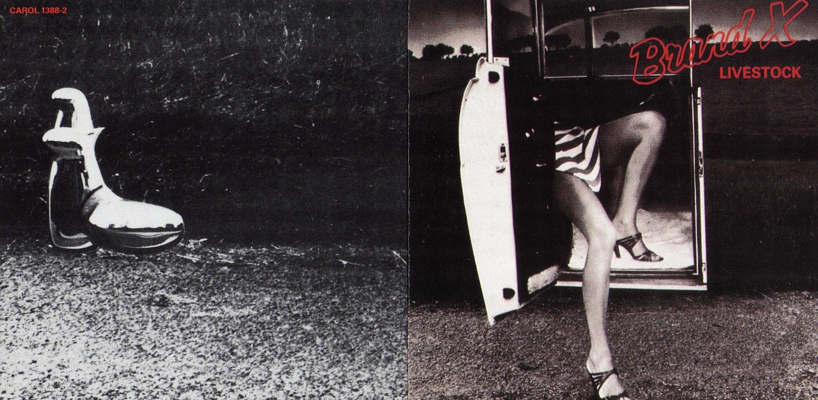 Pink Floyd Ilustrado Livestock Brand X