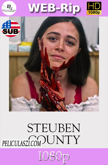 Steuben County (2020) HD WEBRip 1080p SUBTITULADA