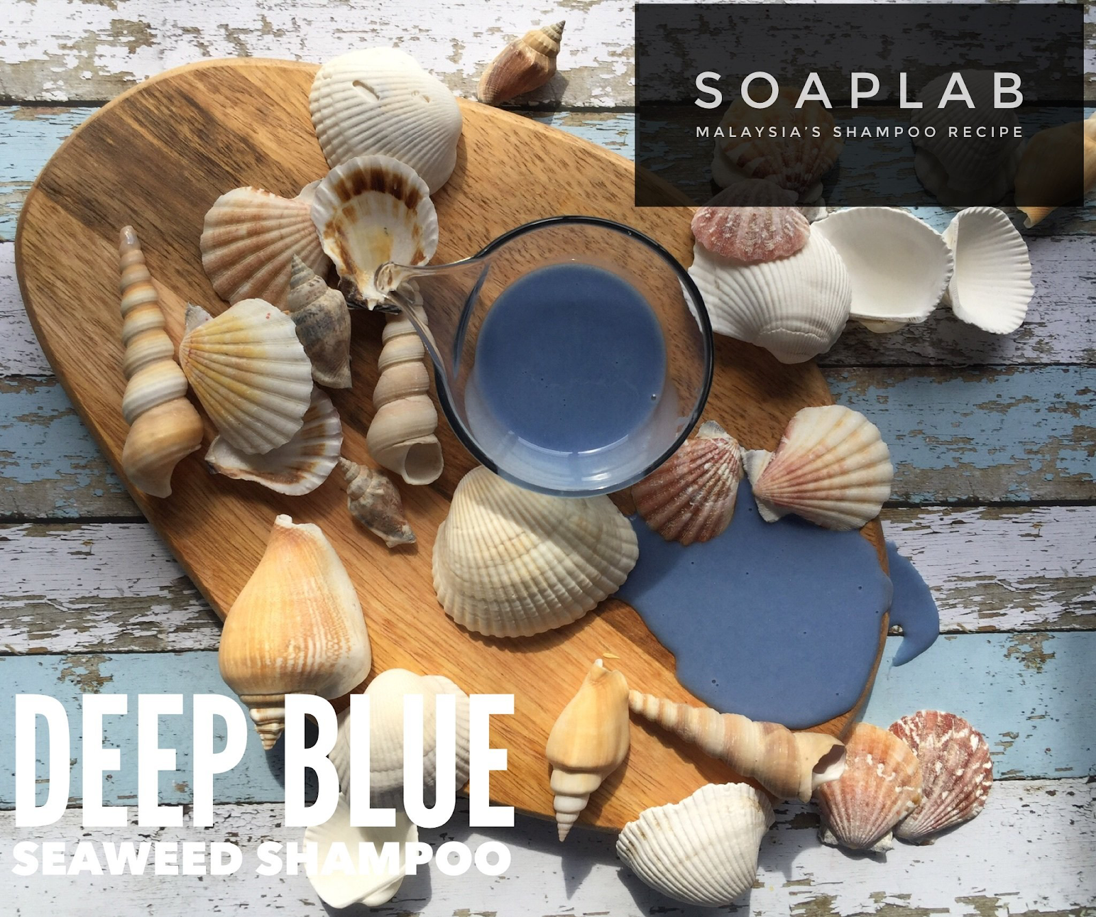 soaplab-malaysia-how-to-make-hair-care-products-for-hair-fall