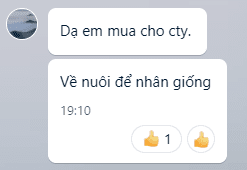 Mua trùn quế