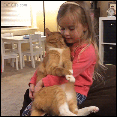 Adorable Cat GIF • Big affectionate ginger cat cuddling with his cute kid. Lovely ♥ family Adorable Cat GIF • Big affectionate ginger cat cuddling with his cute kid. Lovely ♥ family