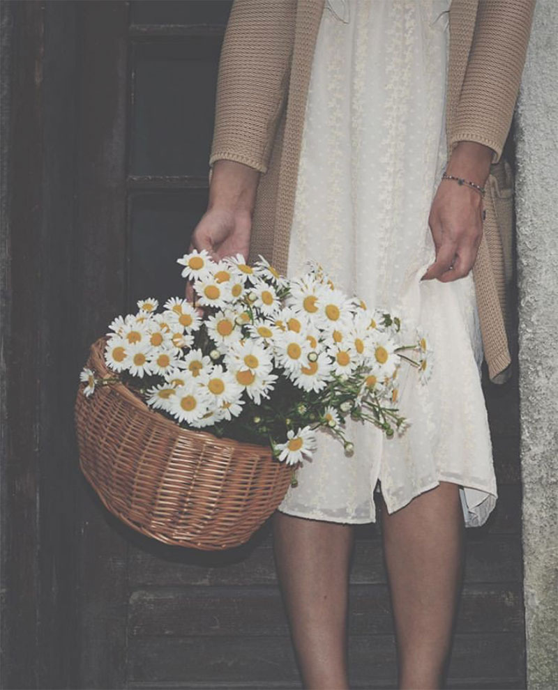 Compilation | Late-Spring Inspiration: Coming Up Daisies