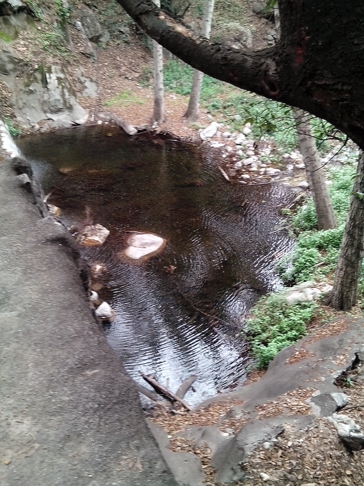 The KtKronicles Friday Hike Day Sturtevant Falls