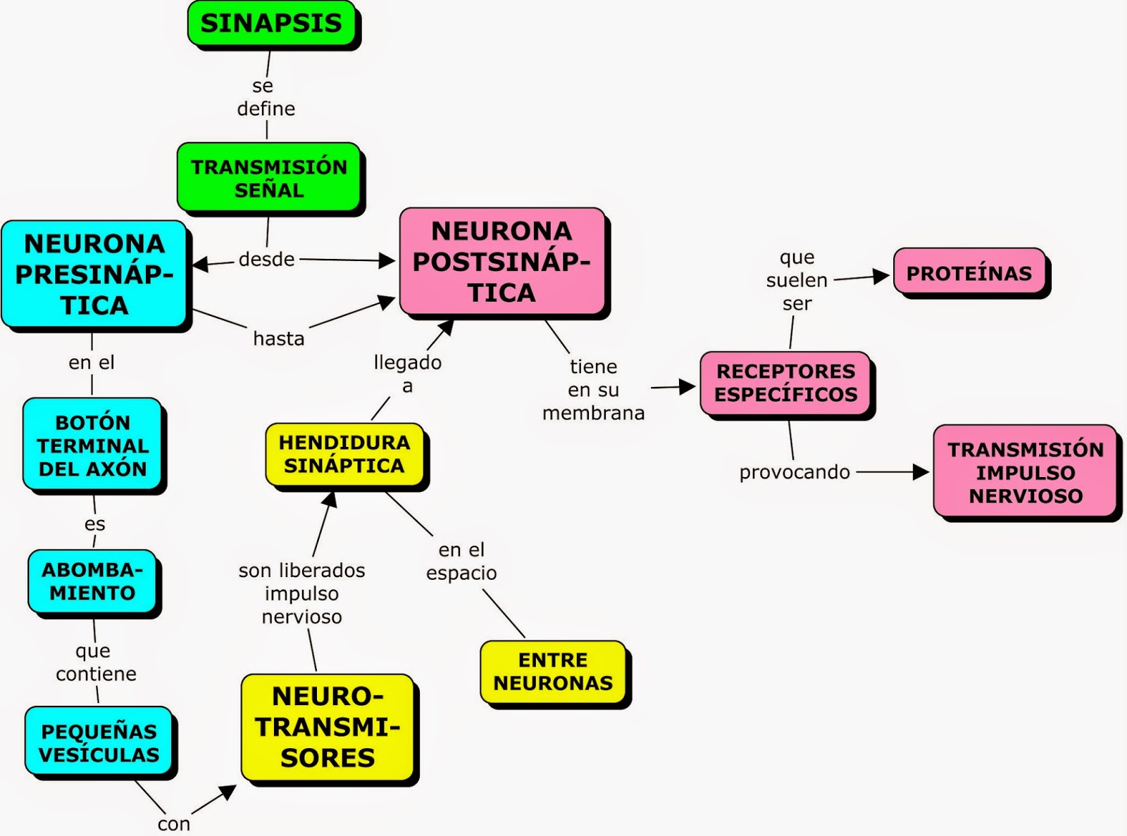 Mapas Conceptuales Del Sistema Nervioso Descargar | Sexiz Pix