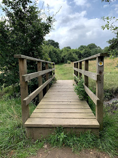 bridge to field