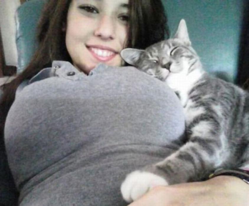 صور خلفيات بنات مع قطط كيوت جديده 2021 مصراوى الشامل