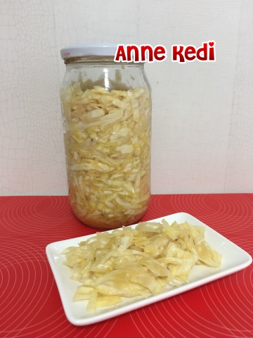 ANNE KEDİ: Fermente Lahana Turşusu / Sauerkraut