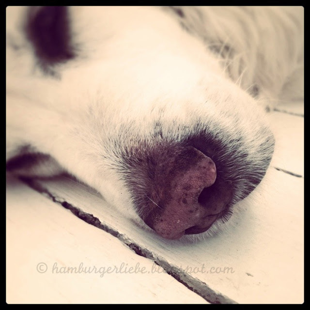 Hamburger Liebe: Meiner liebsten Freundin. * Dear friend.