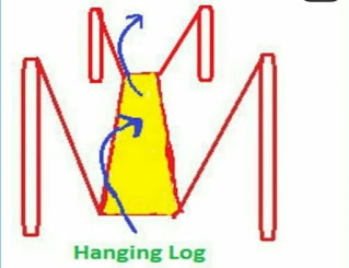 Hanging Log