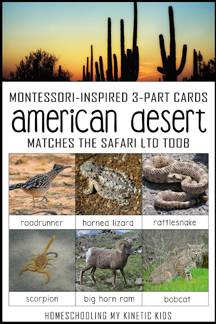 Learn about the American Desert as you explore and play with Safari Ltd Desert toob animals.  Free printable matching cards for the toob.