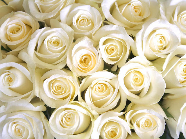 Wedding invitation covid etiquette Wedding Invitation Shop - General Information