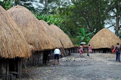 Potret Rumah Honai Potret Rumah Honai