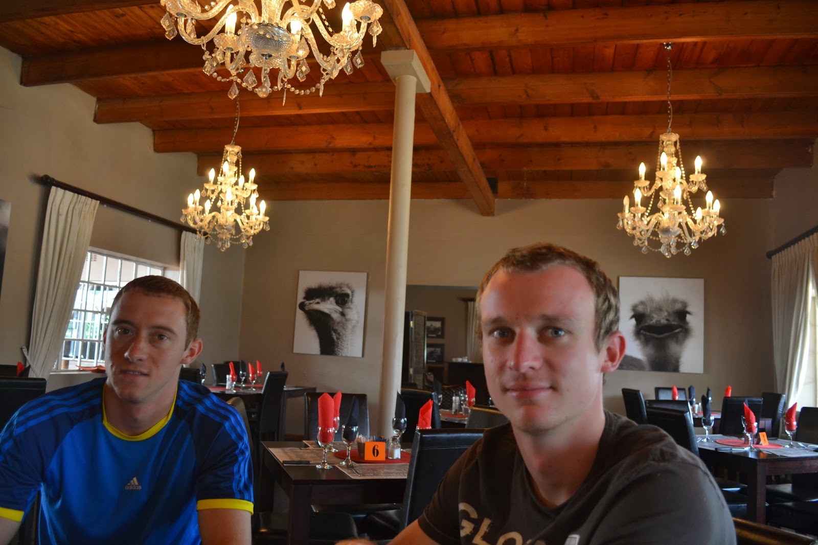 Auslandssemester Südafrika Addo Elephant National Park und Ostrich