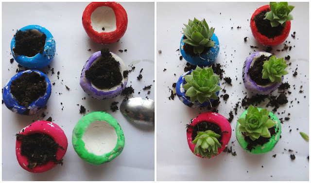 DIY: Mini Succulent Clay Bowls