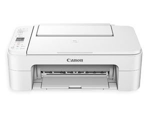 canon print ts3151