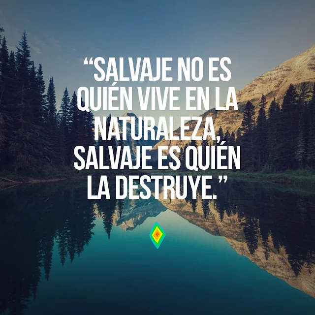 frases ecologicas