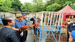 Kontes Ayam Pelung Turut Memeriahkan HUT Kabupaten Tangerang Ke-76 Tahun