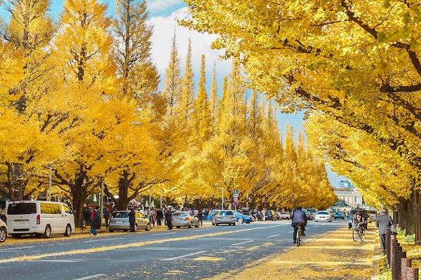 What to note when traveling to Japan in the fall?