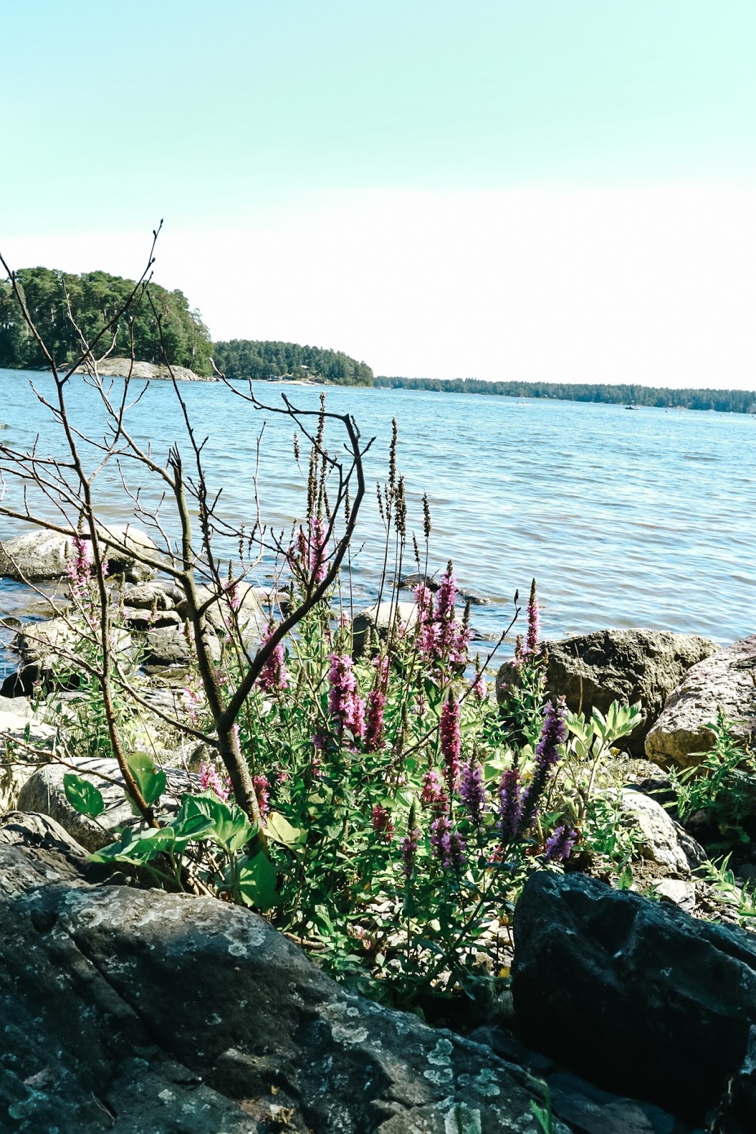 Big mamas home by Jenni S. Veneretkellä Big mamas home by Jenni S. Veneretkellä