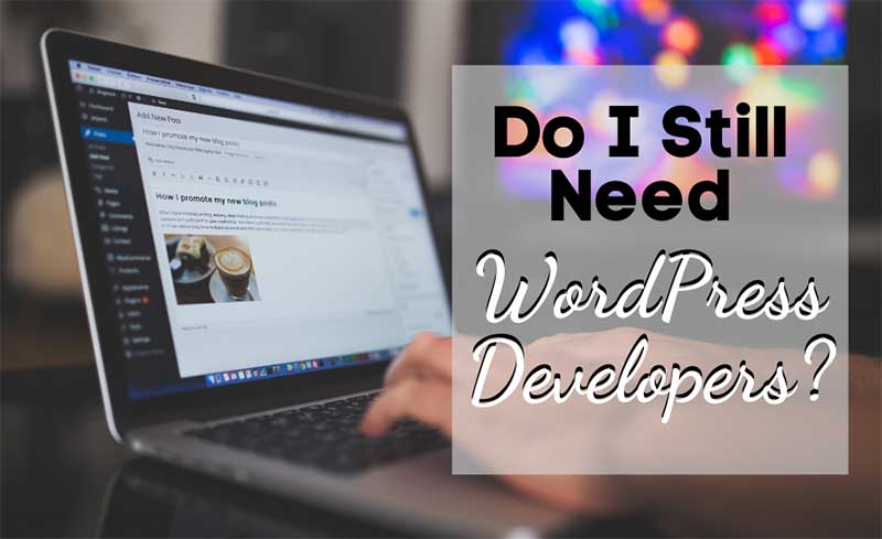 Need WordPress Developers