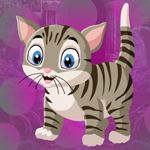 Games4King Lovely Cat Escape Walkthrough