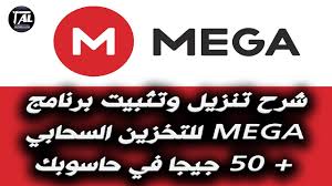 megasyncsetup megasyncsetup