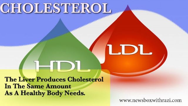 What is cholesterol and Why does it happen? It is Plan and treated.
