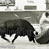 SEBASTIÁN PALOMO LINARES, UN GRAN TORERO, UN GRAN GUERRILLERO