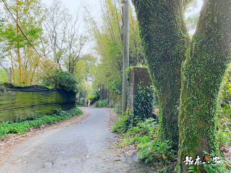 陽明山秘境景觀咖啡廳「山上聊」cafe森林系下午茶
