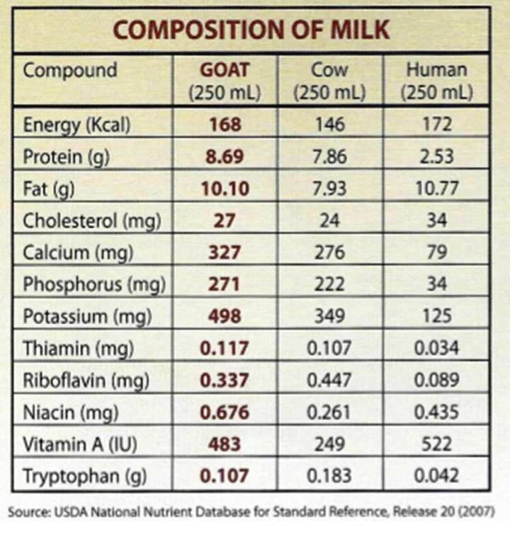 Is It Good Or Bad For You To Have Milk Or Dairy Diet?